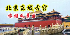 插屄透屄网址中国北京-东城古宫旅游风景区